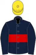 Dark blue, red hoop, dark blue sleeves, yellow cap