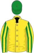 Yellow, yellow sleeves, green striped, green cap