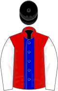 Red, blue stripe, white sleeves, black cap