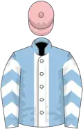 Light blue, white stripe, white and light blue chevrons on sleeves, pink cap