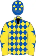Royal blue and yellow diamonds, yellow sleeves, royal blue stars