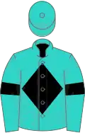Turquoise, black diamond and armlets