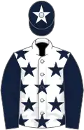 White, dark blue stars, dark blue sleeves, dark blue cap, white star
