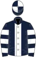 Dark blue, white panel, hooped sleeves, quartered cap