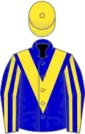 Blue, yellow chevron, striped sleeves, yellow cap