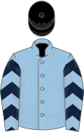Light blue, dark blue chevron hoops on body and sleeves, black cap