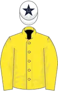 Yellow, white cap, dark blue star