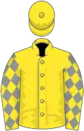 Yellow, grey diamonds on sleeves