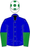 Blue, blue and green halved sleeves, white cap, green spots