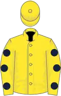 Yellow, dark blue spots on sleeves