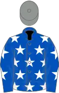 Royal blue, white stars, grey cap