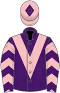 Purple, pink chevron, chevrons on sleeves, pink cap, purple diamond