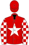 Red, white star, checked sleeves