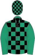 Emerald green and black check, emerald green sleeves, check cap