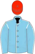 Sky blue, white seams, scarlet cap