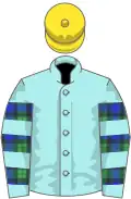 Pale blue, campbell tartan hooped sleeves, yellow cap