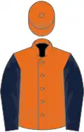 Orange, black sleeves