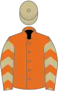 Orange, beige chevrons on sleeves, beige cap
