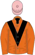 Orange, black chevron, pink cap