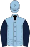 Light blue, dark blue sleeves