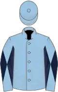Light blue, light blue and dark blue diabolo on sleeves