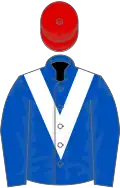 Royal blue, white chevron, red cap