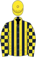 Dark blue and yellow stripes, checked sleeves, yellow cap