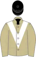 Beige, white chevron, black cap