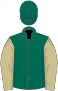 Dark green, beige sleeves