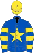 Royal blue, yellow star, hooped sleeves, yellow cap