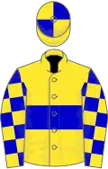 Yellow, blue hoop, checked sleeves, quartered cap
