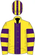 Yellow, purple stripe, hooped sleeves, striped cap