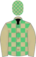 Beige and emerald green check, beige sleeves, check cap