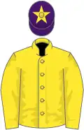 Yellow, purple cap, yellow star