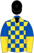 Royal blue and yellow check, halved sleeves, black cap