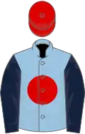 Light Blue, Red disc, Dark Blue sleeves, Red cap