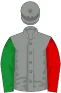 Grey, one red and one green sleeve