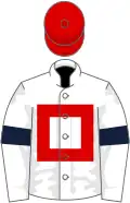 White, Red hollow box, White sleeves, Dark Blue armlets, Red cap