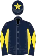 Dark blue, dark blue and yellow diabolo on sleeves, dark blue cap, yellow star