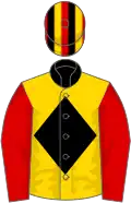 Gold, black collar and diamond, red sleeves, red, black and gold striped cap
