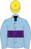 Light blue, purple hoop, yellow cap