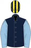Dark blue,light blue sleeves, yellow and dark blue striped cap