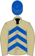 Beige, royal blue chevrons, beige sleeves, royal blue cap