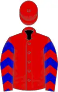 Red, blue chevrons on sleeves