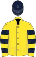 Yellow, dark blue hooped sleeves, dark blue cap