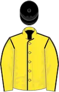 Yellow, black seams, black cap