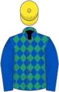 Royal blue and emerald green diamonds, blue sleeves, yellow cap