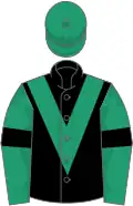 Black, Emerald Green chevron, Emerald Green sleeves, Black armlets, Emerald Green cap