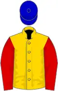 Gold, red sleeves, blue cap