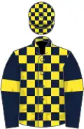 Dark blue and yellow check, dark blue sleeves, yellow armlets